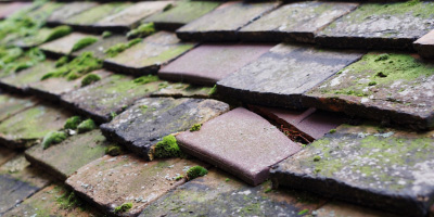 Northall roof repair costs